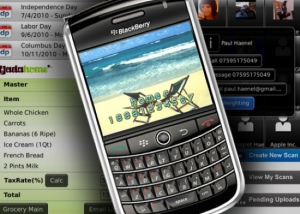 Blackberry App Developers